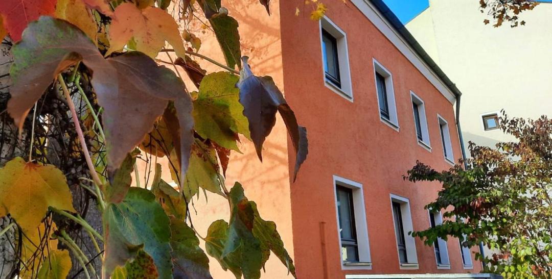 Photo of Buildings in Grafenau
