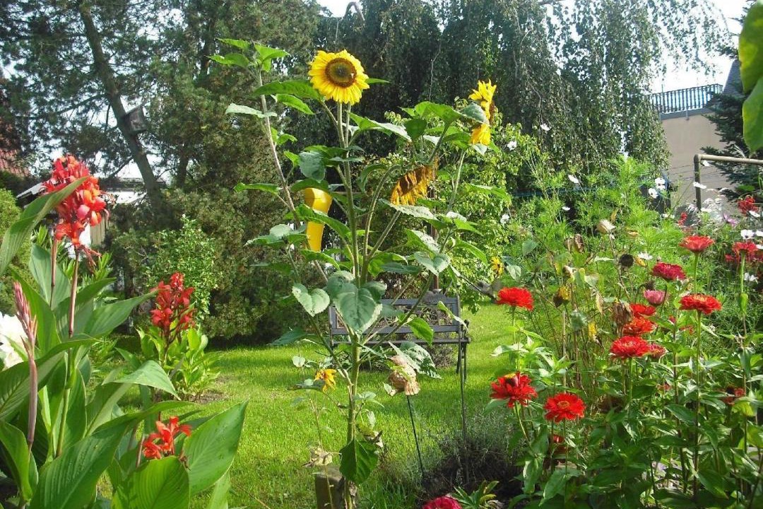 Photo of Others in Stolpen