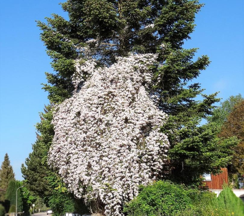 Photo of Outdoor in Raisting