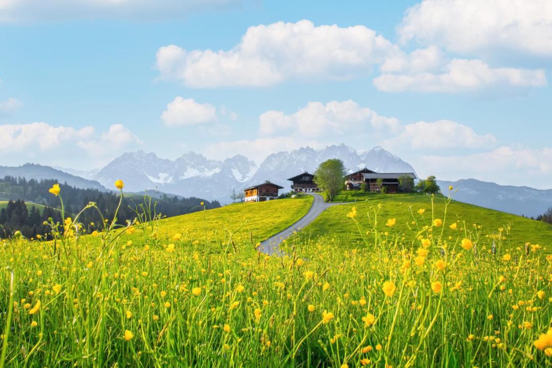 Photo of Others in Kitzbuehel