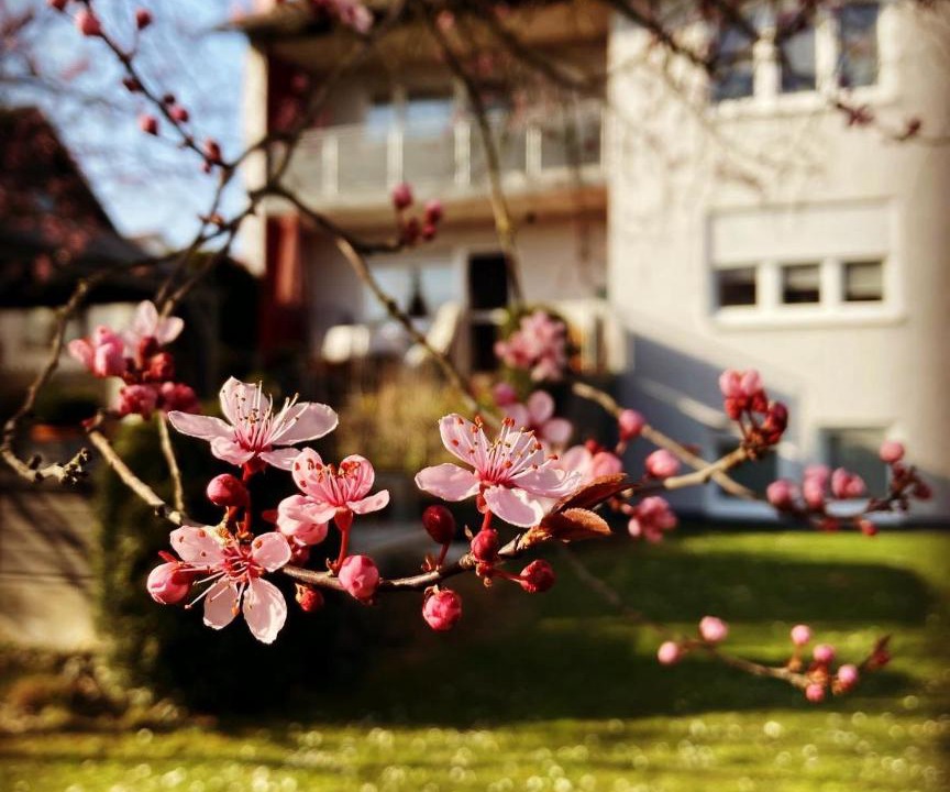 Photo of Others in Uettingen