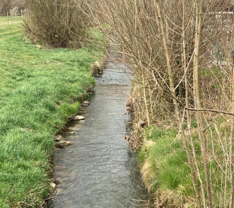 Photo of Others in Uettingen