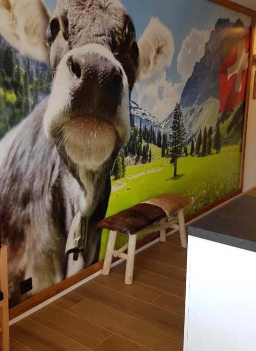 Photo of Others in Oberstaufen