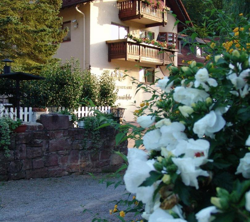 Photo of Others in Rollfeld