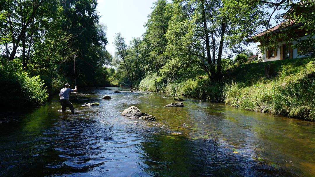 Photo of Others in Blaibach