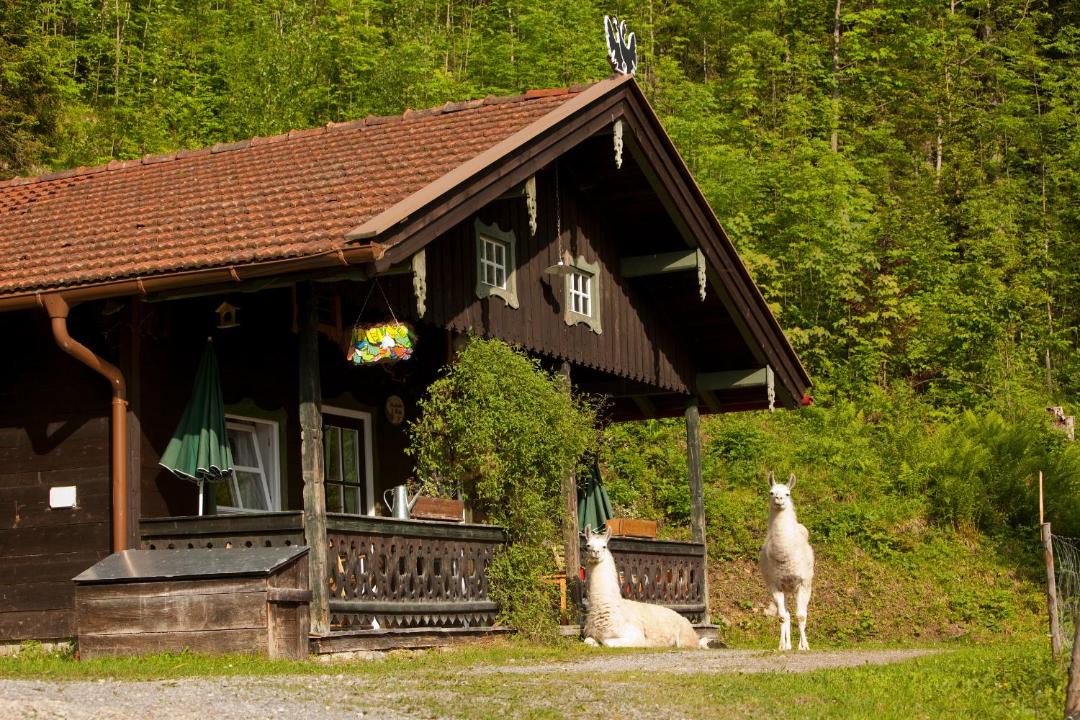Photo of Others in Bayrischzell