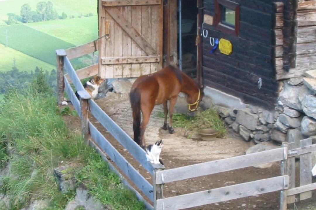 Photo of Others in Gattererberg