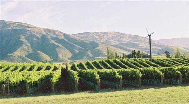 Photo of Outdoor in Gibbston