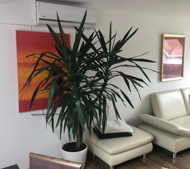 Photo of Livingroom in Oberasbach