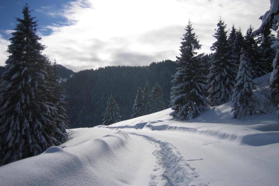 Photo of Outdoor in Oberaudorf