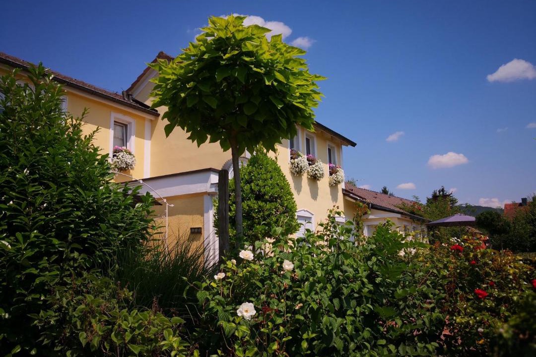 Photo of Buildings in Iphofen