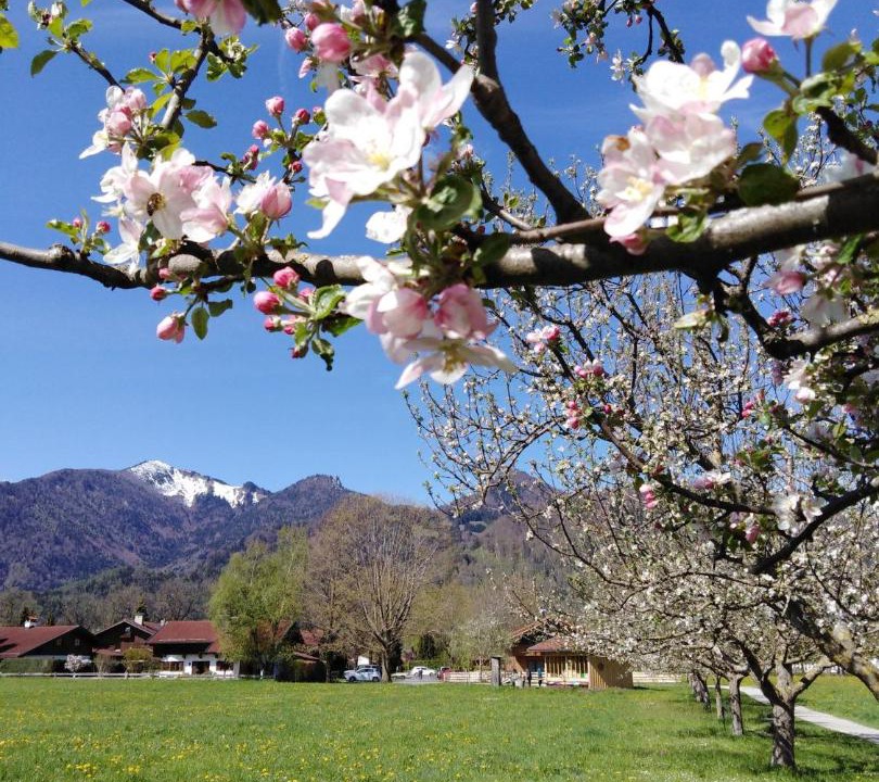 Photo of Outdoor in Grassau