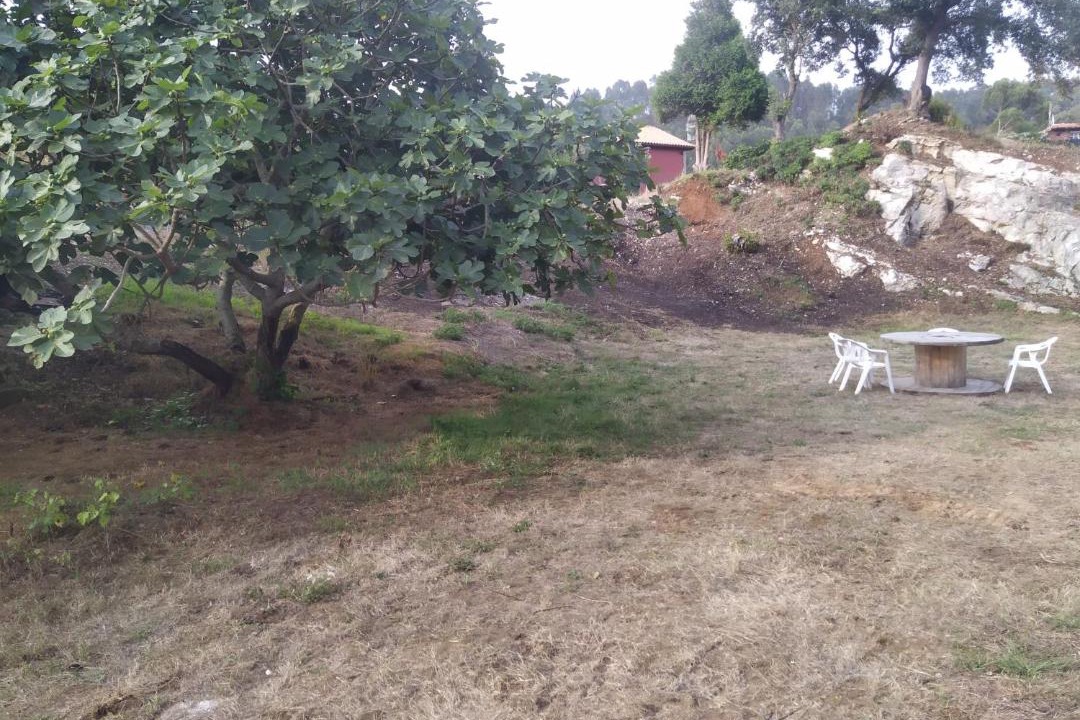 Photo of Others in La Franca