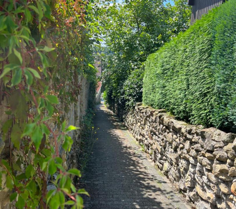 Photo of Others in Bad Bentheim