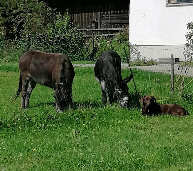 Photo of Others in Surberg