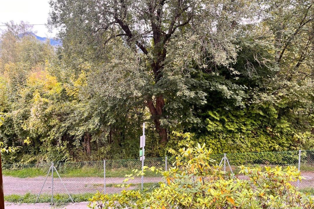 Photo of Others in Neu-Goetzens
