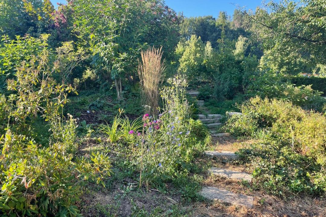 Photo of Outdoor in Sulz