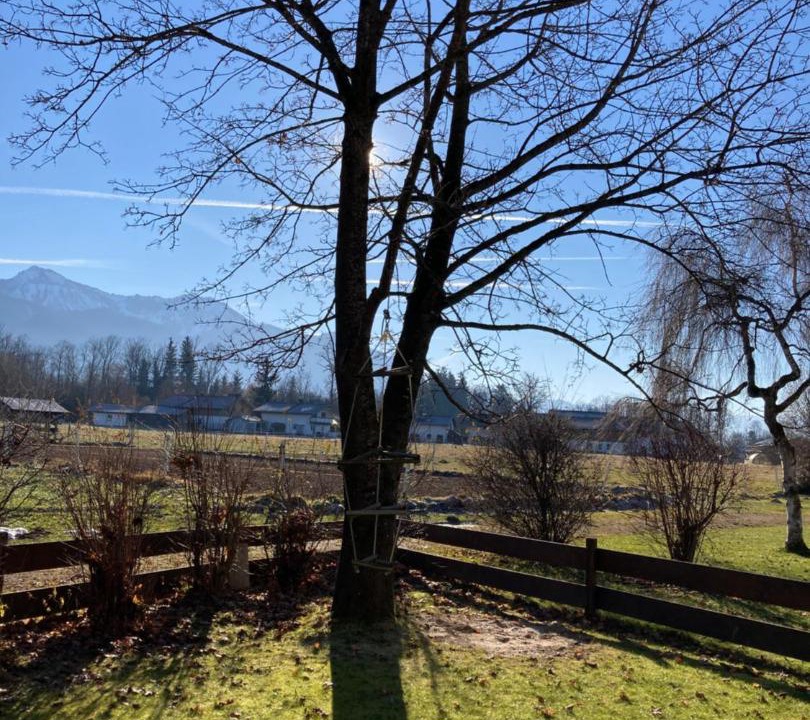 Photo of Outdoor in Uebersee