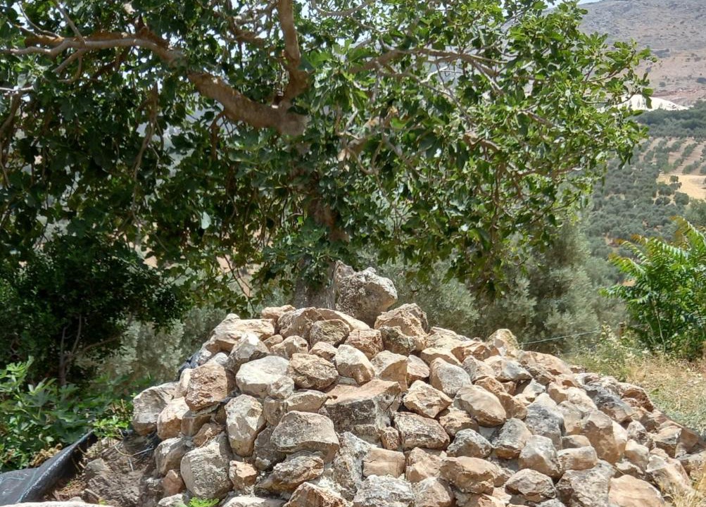 Photo of Others in Villanueva del Rosario