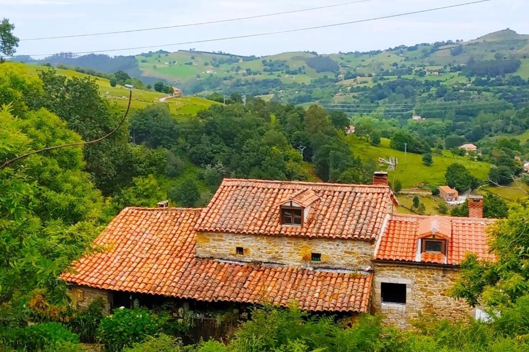 Photo of Others in Riotuerto