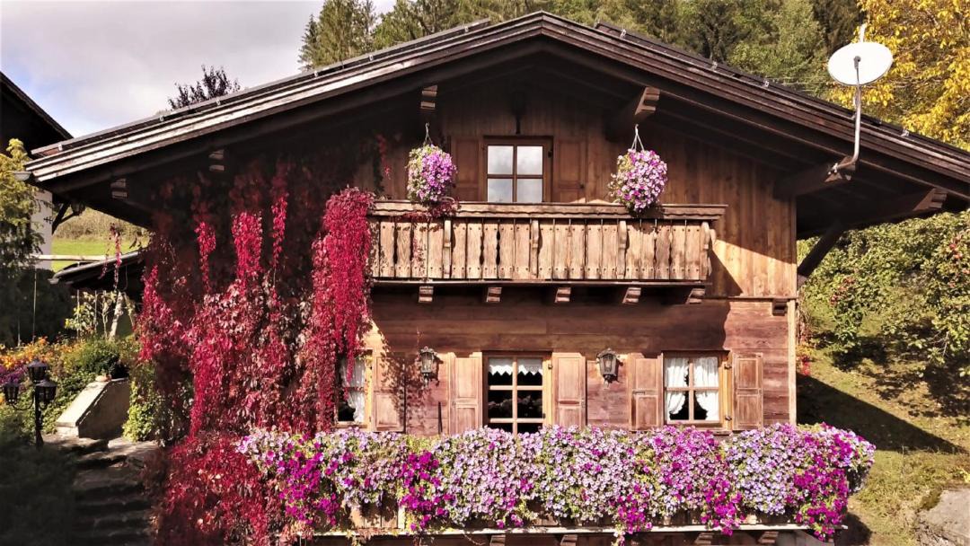 Photo of Buildings in Bad Koetzting