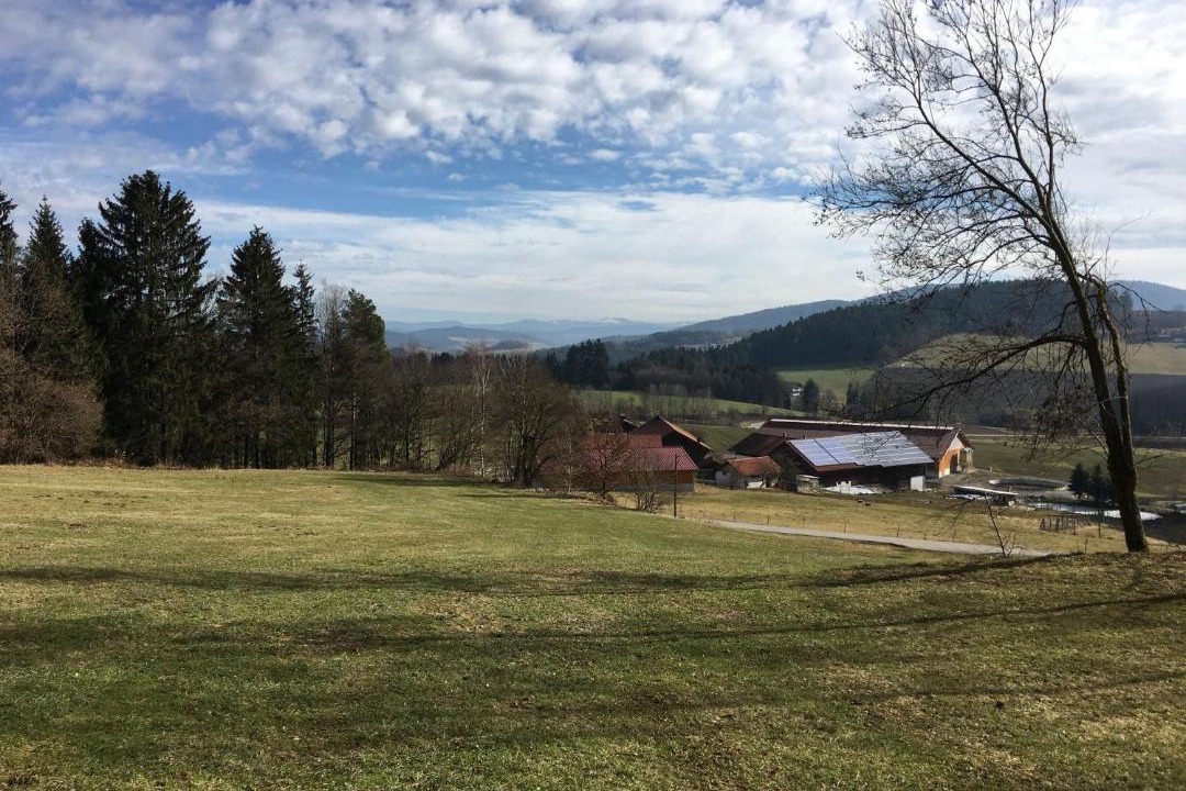 Photo of Outdoor in Konzell