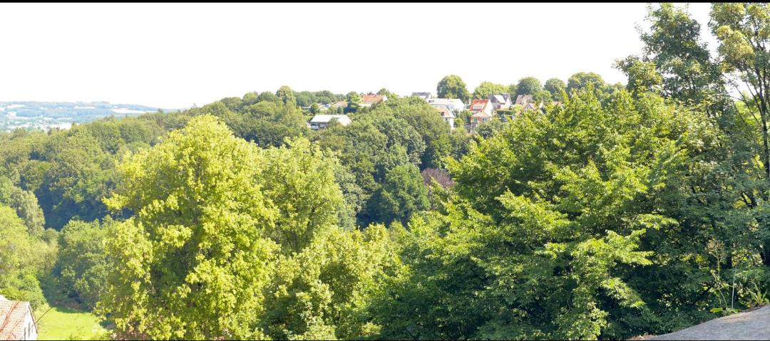 Photo of Others in Lengerich