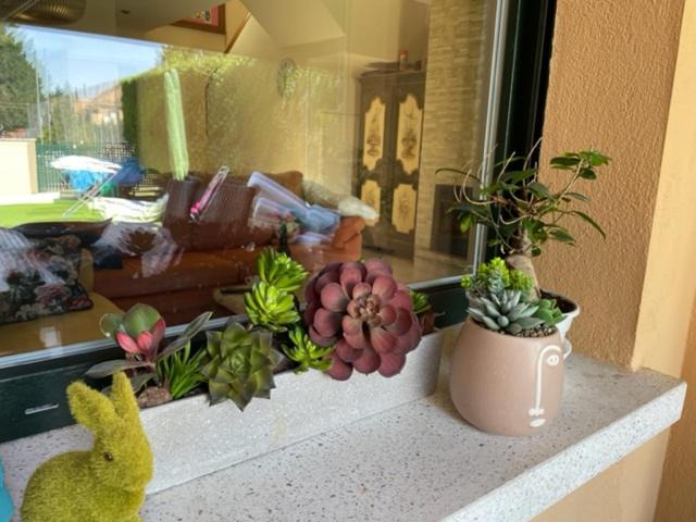 Photo of Patio Balcony in Simancas