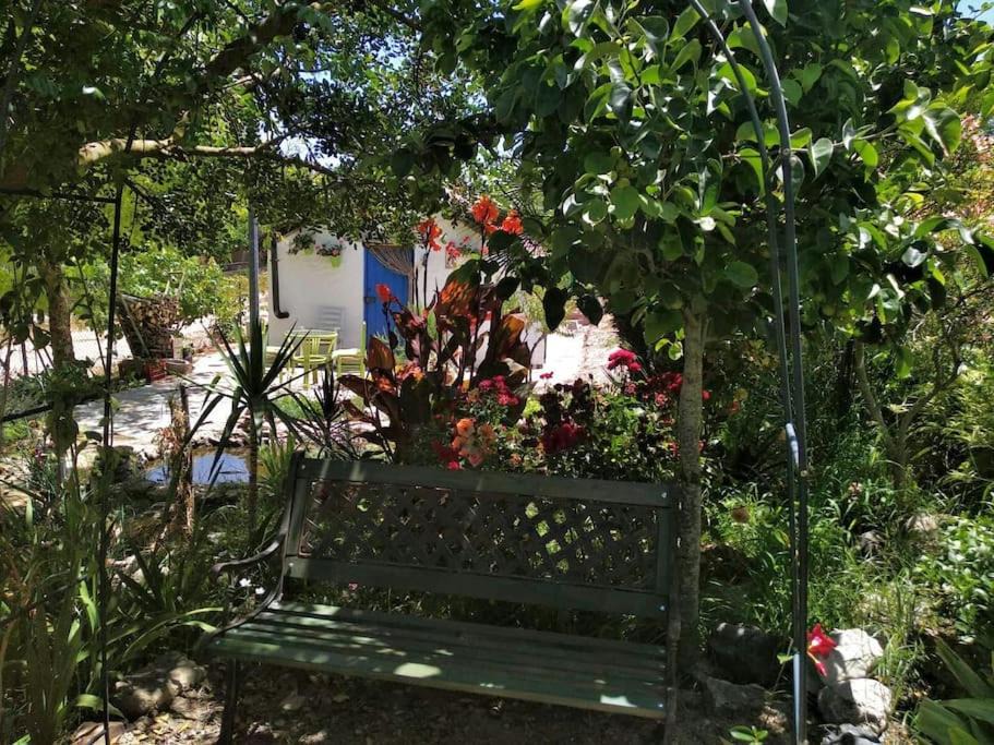 Photo of Others in Jerez de la Frontera