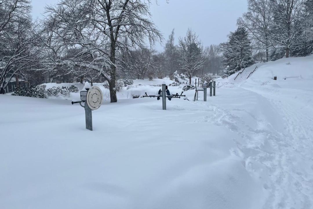 Photo of Others in Braunlage