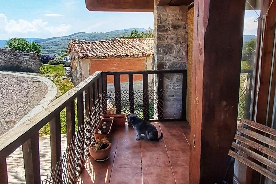 Photo of Others in Trevijano