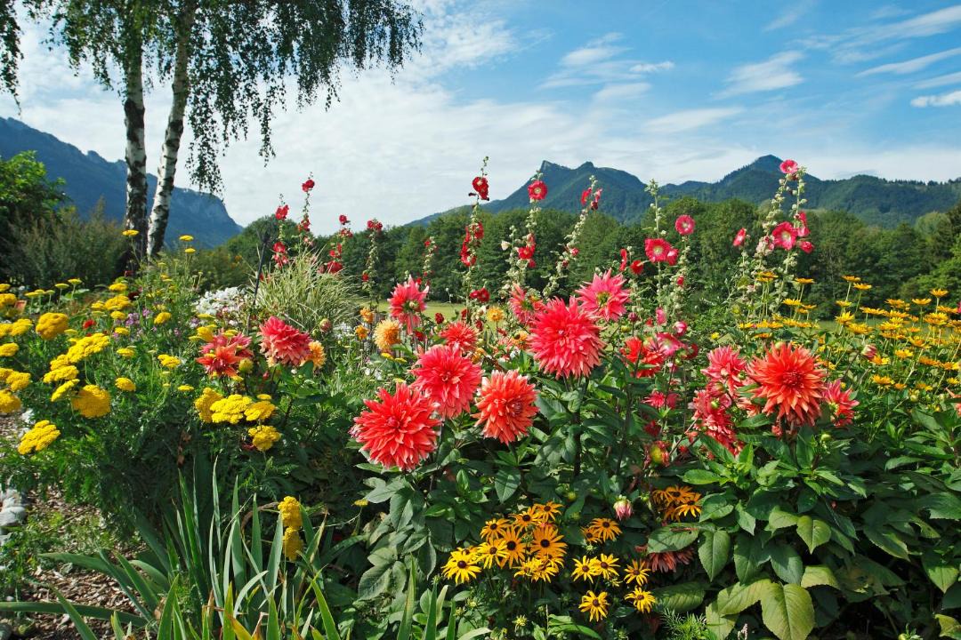 Photo of Outdoor in Aschau im Chiemgau