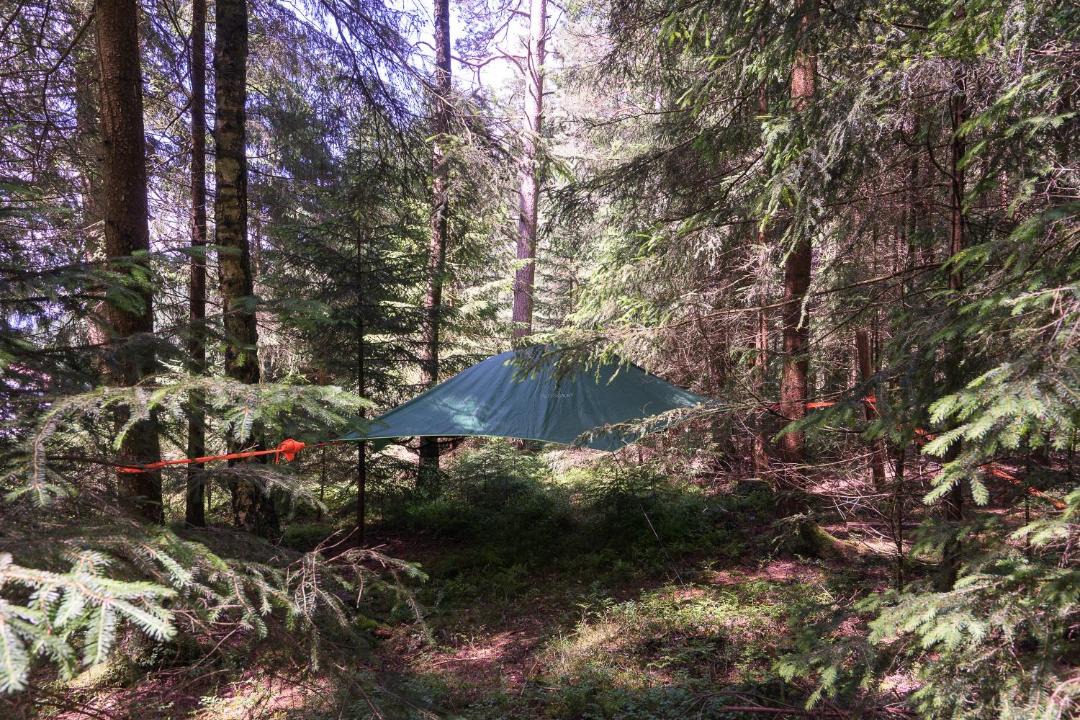 Photo of Outdoor in Regen