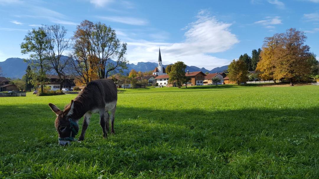 Photo of Others in Wackersberg