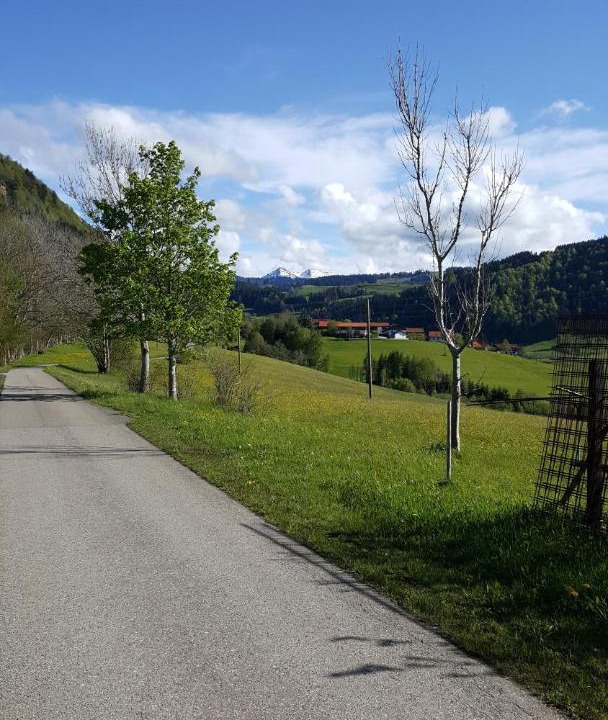Photo of Outdoor in Missen-Wilhams