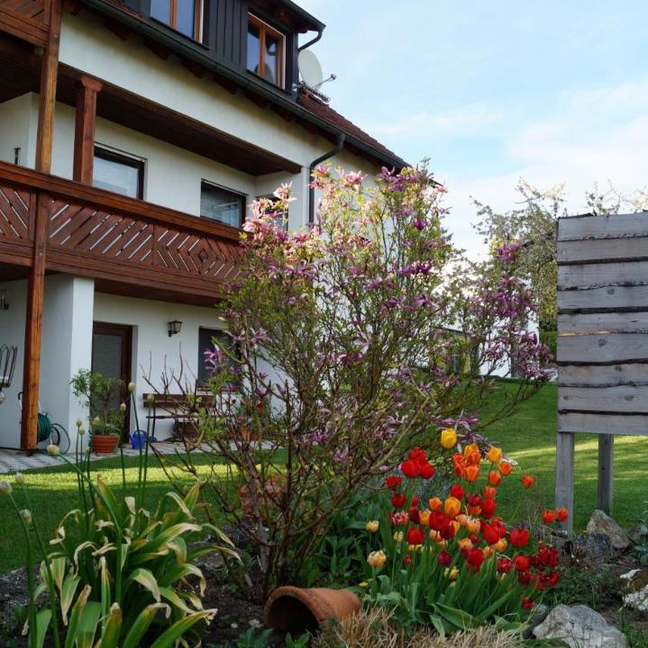 Photo of Buildings in Dinkelsbuehl