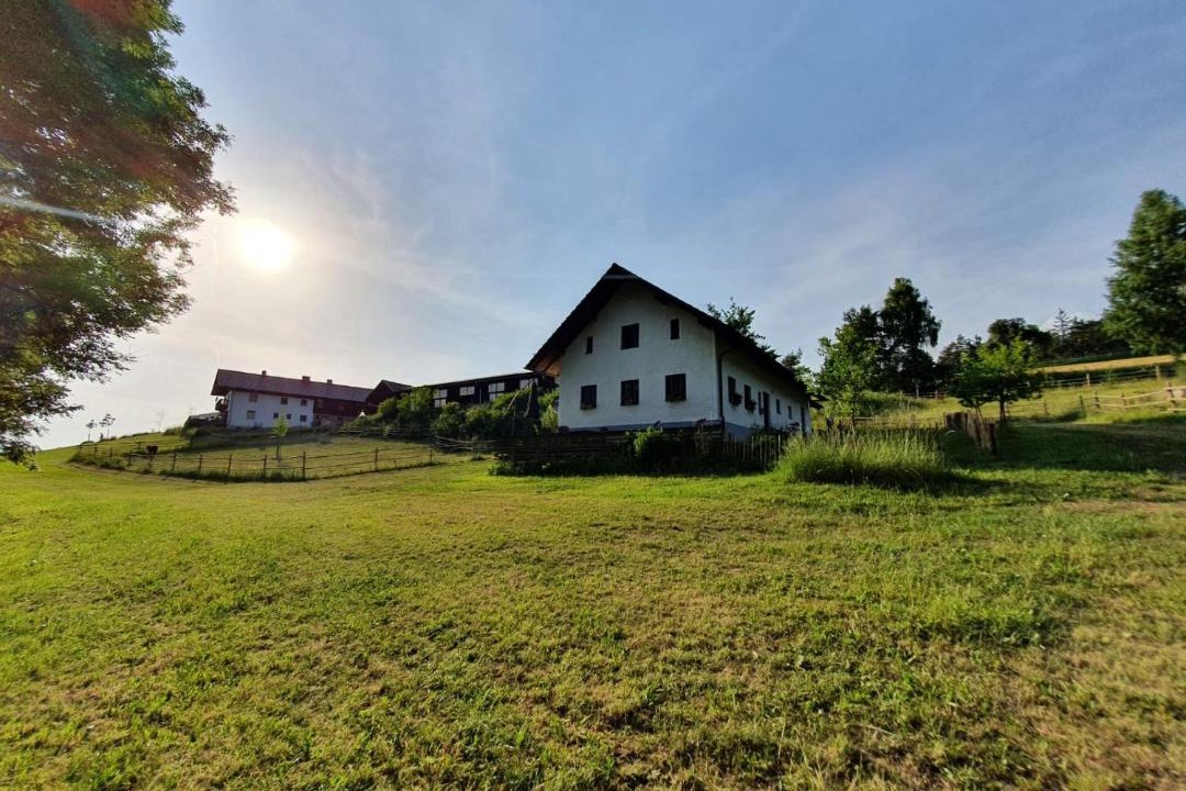 Photo of Others in Haselbach