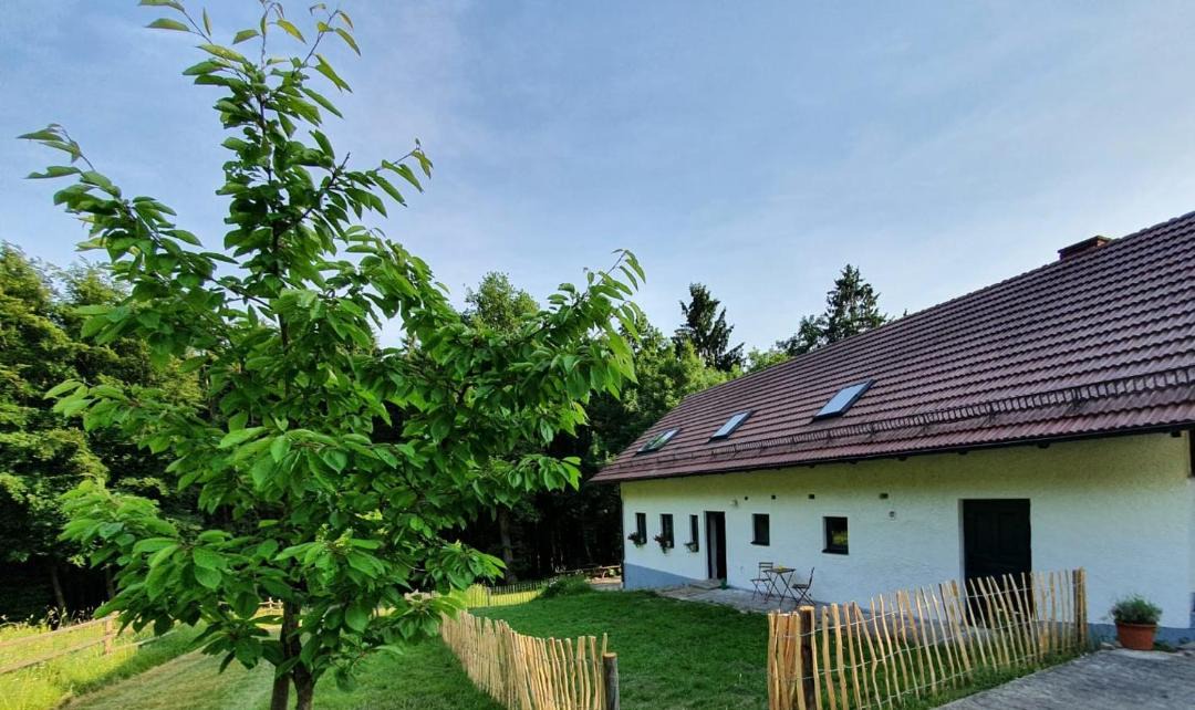 Photo of Others in Haselbach
