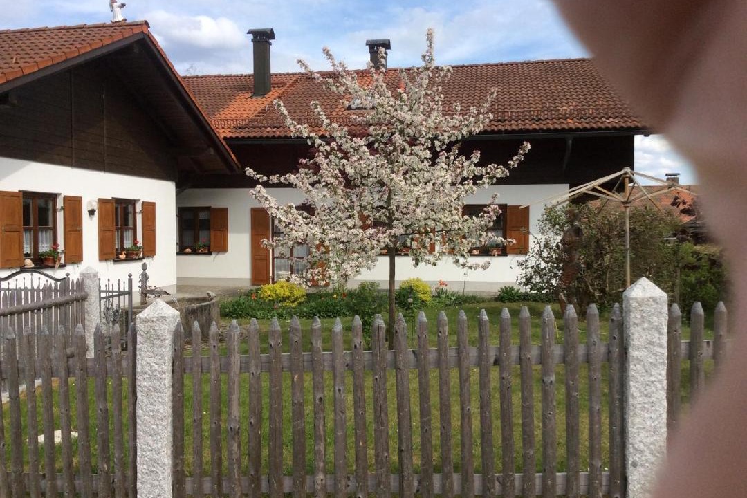 Photo of Buildings in Langdorf