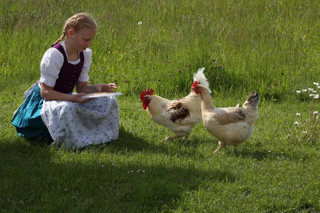 Photo of Others in Chieming