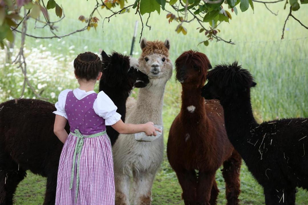 Photo of Others in Chieming