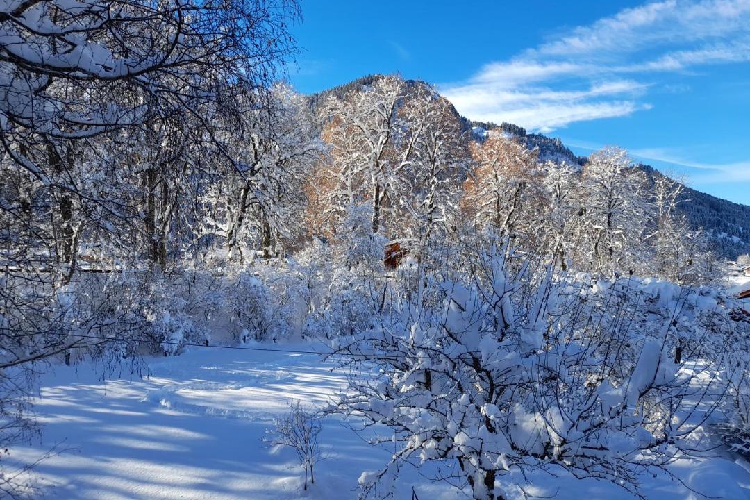 Photo of Others in Bad Oberdorf