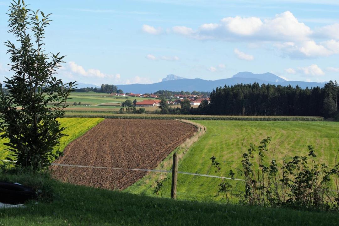 Photo of Others in Traunreut