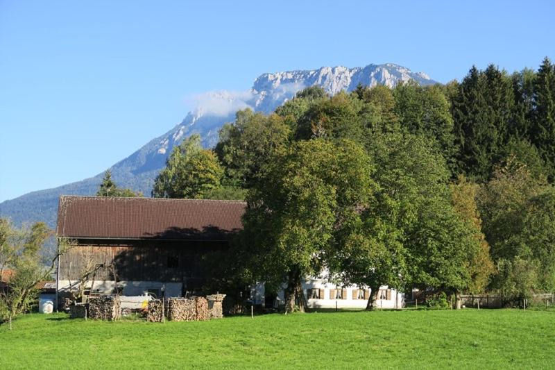 Photo of Others in Kiefersfelden
