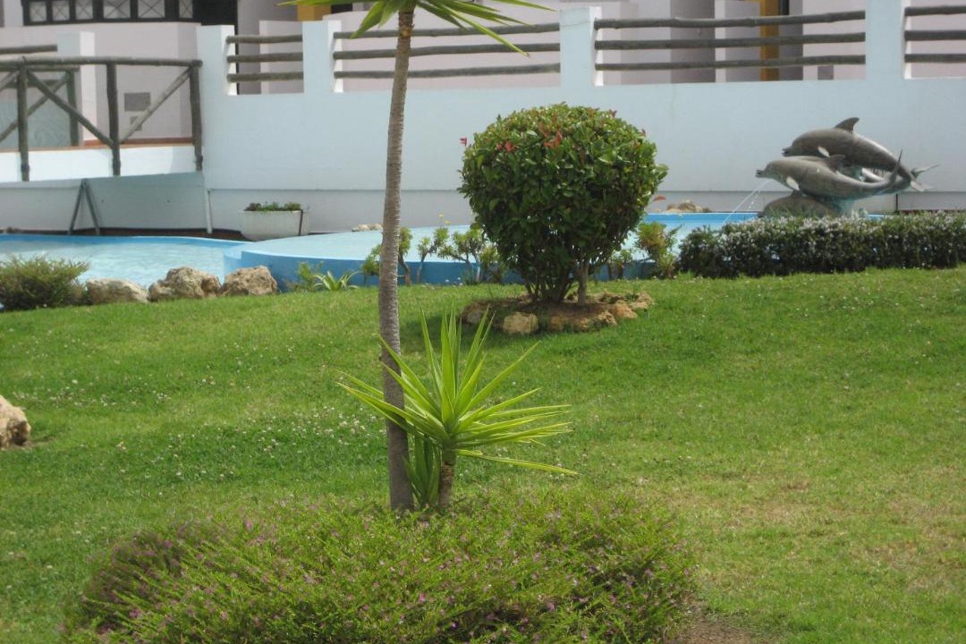 Photo of Others in Islantilla