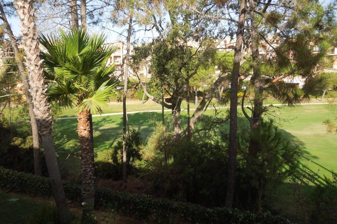 Photo of Others in Islantilla