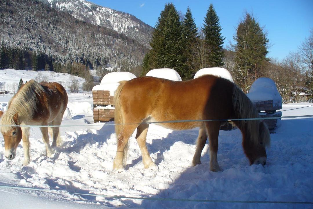 Photo of Others in Aschau im Chiemgau