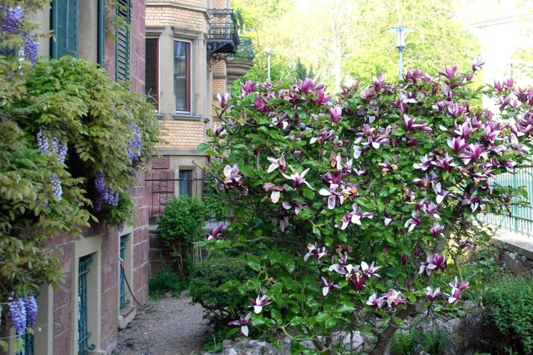 Photo of Others in Bad Kissingen