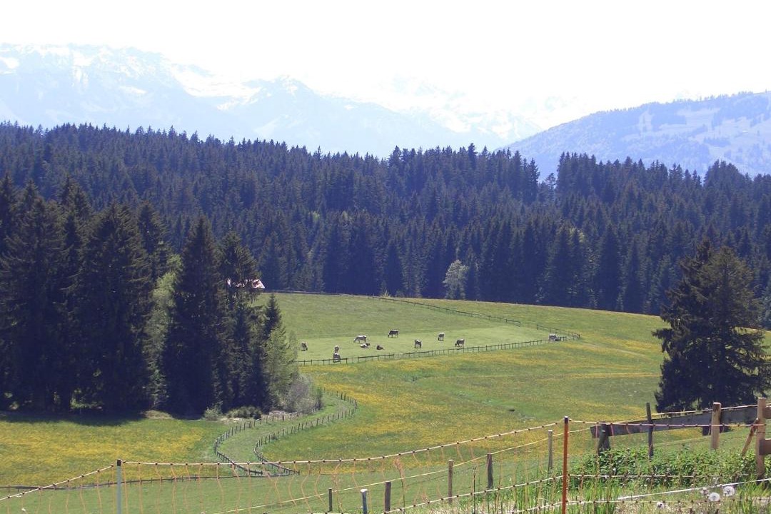 Photo of Others in Ettensberg