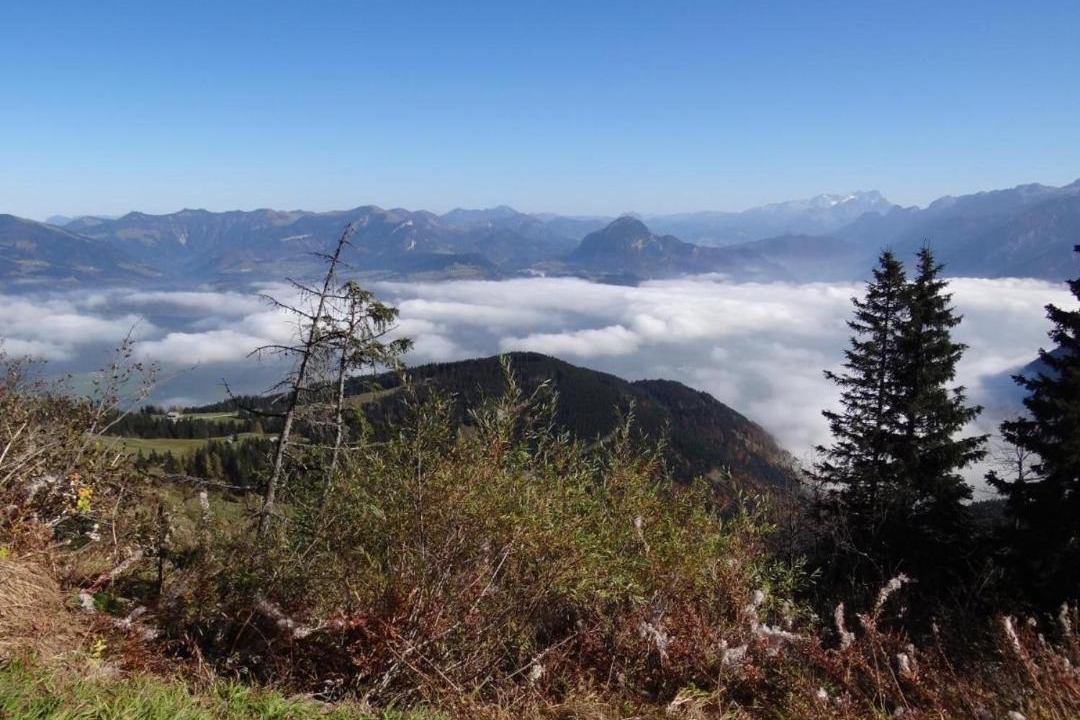Photo of Outdoor in Marktschellenberg